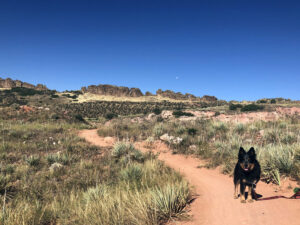 The 10 Best Low-Effort, High-Reward Hikes Near Denver