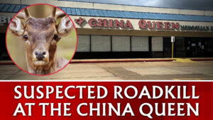 MADE IN CHINA: Roadkill found in Chinese restaurant freezer in Louisiana