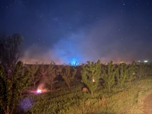 Western Slope farm uses nearly 100 campfires to save orchard from spring freeze