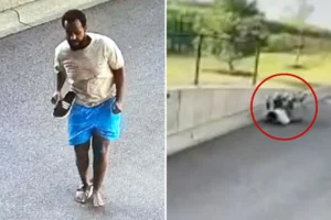 UP THE WALZ — NABBED: Barefoot suspect in $90M Minnesota fraud scheme captured hours after fleeing FBI in caught-on-camera escape