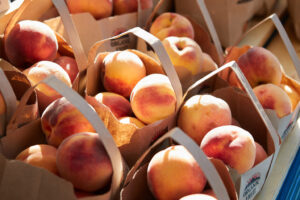 Colorado’s Delta County Orchard Crop Is Lost After a Devastating Spring Frost