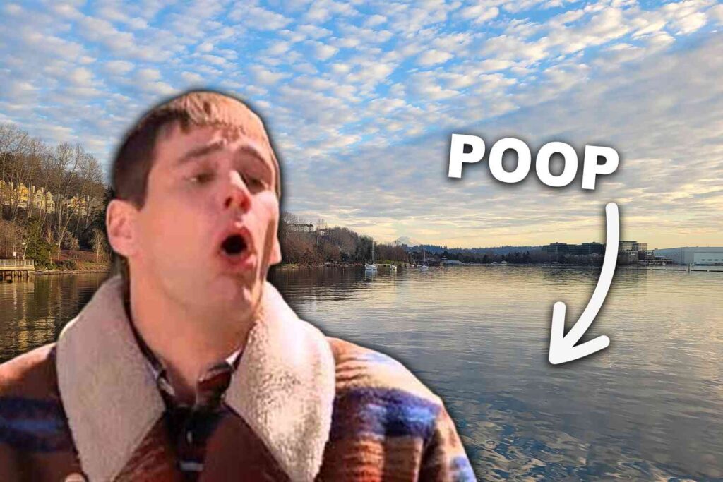 DEMOCRAT CITY CLIMATE CHANGE: Seattle beaches close after exceedingly high levels of poop are found in water