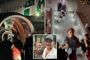 EXCLUSIVE: LA-bound family on horror flight reveals gruesome moment plane struck person