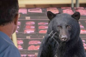 UPDATE: Japan can’t make robot Monster Wolves fast enough to overcome the surge in bear attacks