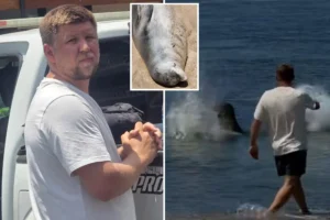 Hawaiian hailed as hero for beating entitled tourist caught hurling rock at beloved seal in viral video