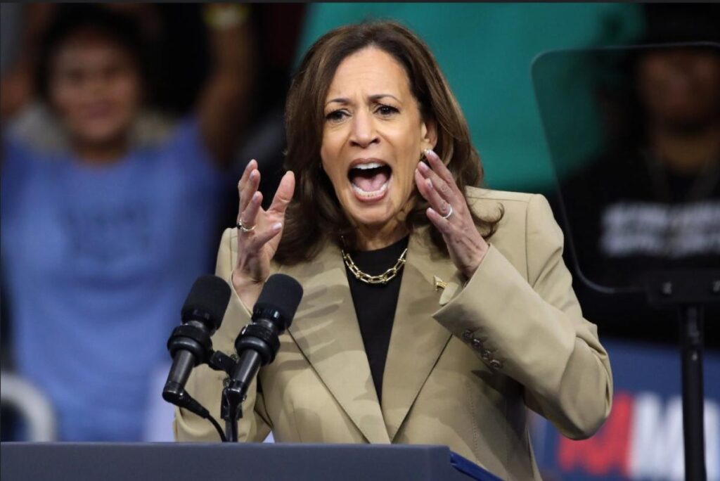 SCHADENFREUDE: Kamala Harris’s fatcat Democrat campaign donors steer clear of her in 2028