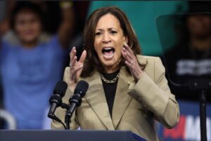 SCHADENFREUDE: Kamala Harris’s fatcat Democrat campaign donors steer clear of her in 2028