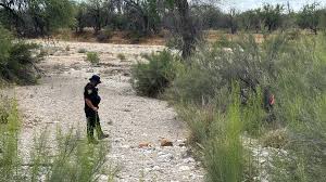 Skeleton unearthed near Nancy Guthrie search site in Arizona believed to be up to 1,000 years old, expert says