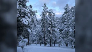 One spot in Colorado had over a foot of new snow to end the week