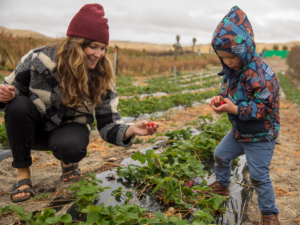 The 5 Best U-Pick Farms for Fruits and Vegetables on the Front Range