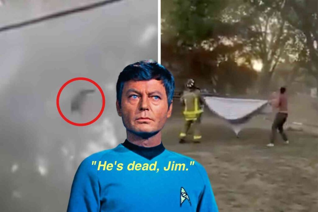 VIDEO: New York firefighter faces charges for using water cannon to blast cat out of tree (the cat is dead)