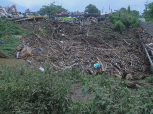 Waiawa Stream overflows again, flooding Pearl City homes and frustrating residents