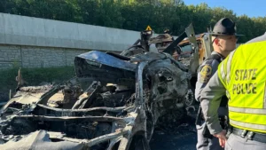 INVASION USA: Virginia bus crash that killed five involved driver who doesn’t speak English, Sean Duffy says