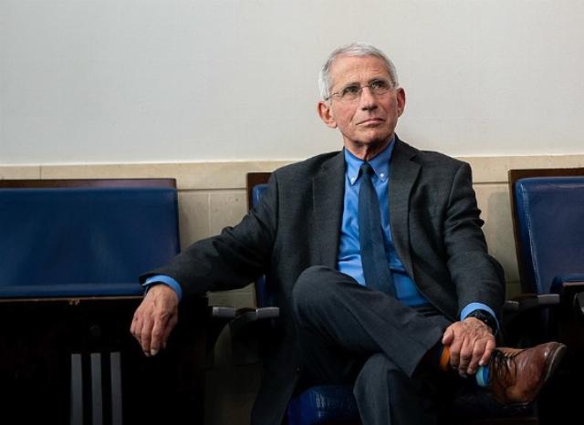 ‘Thanks, Tulsi’ — Back in the Spotlight: Anthony Fauci