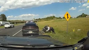 CRAZY FOOTAGE: South Carolina Officers Take Out Suspect Who Shot Deputy On Side Of Road