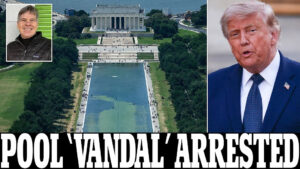 Former Olympian David Hearn Arrested for Destruction of Government Property for Vandalizing Reflecting Pool
