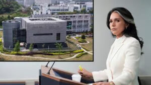 Gabbard Drops Fauci COVID-19 Receipts On Last Day: He Funded The Research, Cooked The Cover Story, Then Lied To Congress