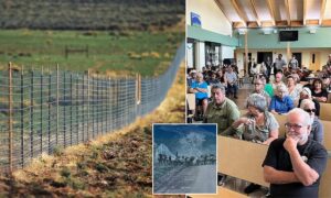 Locals demand billionaire Texas oil heir takes down his 20-mile barbed wire fence that’s harming deer and elk on idyllic Costilla County ranch