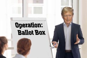 Check out Trump’s brilliant plan to combat mail-in voter fraud in blue states