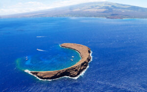 The 5 Best Snorkeling Spots on Maui