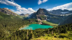 WILD ENCOUNTER: Grizzly bear mauls hiker, drags him dozens of feet on Glacier National Park trail in Montana