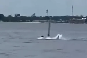Harrowing shark attack captured on camera in Florida