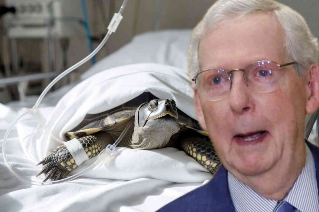 Senate Approves Mitch McConnell Working Remotely From Grave