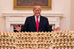 REPORT: Egg companies agree to give 53 million eggs as settlement after DOJ accused them of price fixing