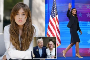 HOW DEMS LOST VOTES: I was a ruthless fundraiser who helped progressives infiltrate the Democratic party — until it all became unbearable