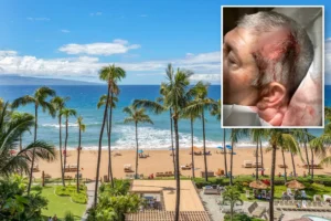ISLAND TERROR: California family left in a pool of blood after horrific ‘anti-white’ attack at exclusive Maui resort