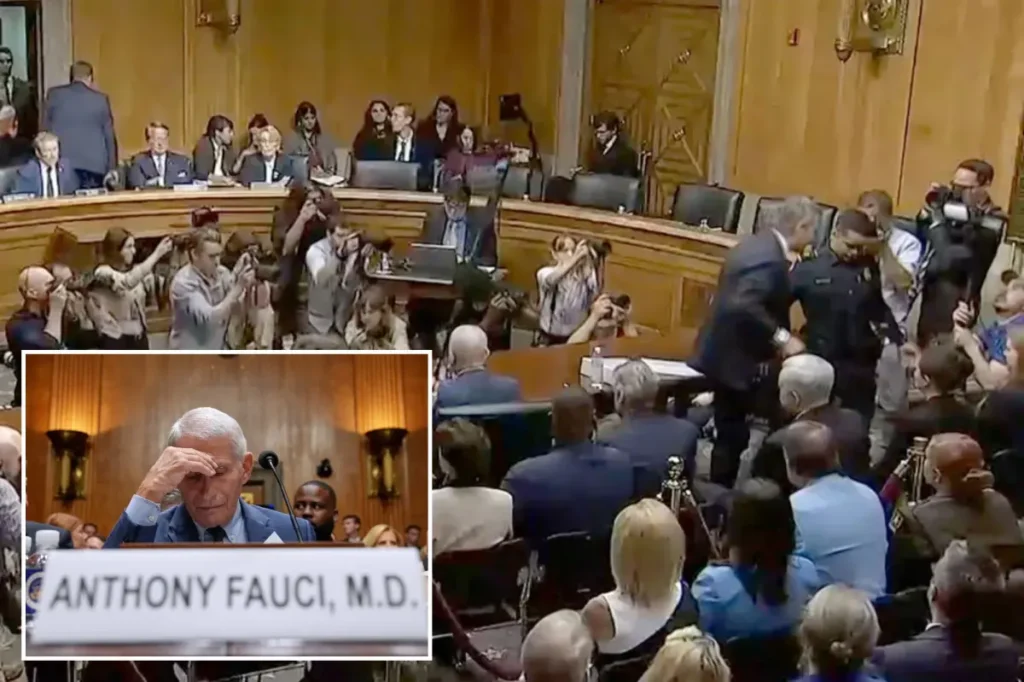 Sen. Rand Paul throws Fauci’s attorney out of the hearing room for not shutting up