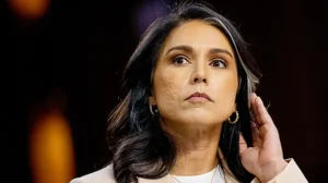 ‘STRANGER DANGER’: Tulsi Gabbard facing family turmoil after police arrest her brother on disturbing charges