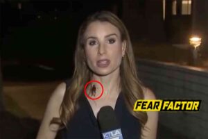This KTLA reporter was unnervingly calm when a cockroach flew down her shirt