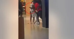 MOGADISHU ALERT: Two Dead, Multiple People Shot Inside Fairlane Mall in Dearborn, Michigan