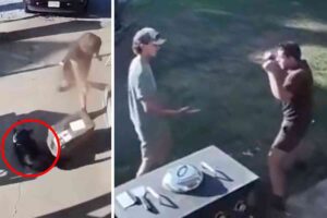 UPS driver decks dog with package, squares up with homeowner in one of the wildest exchanges ever recorded by Ring