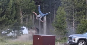 YIKES! Bison at Yellowstone National Park Sends Man Flying Through the Air With Headbutt