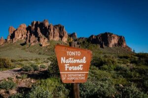 Arizona man arrested for living in garbage-filled campsite on grounds of national forest for nearly a decade