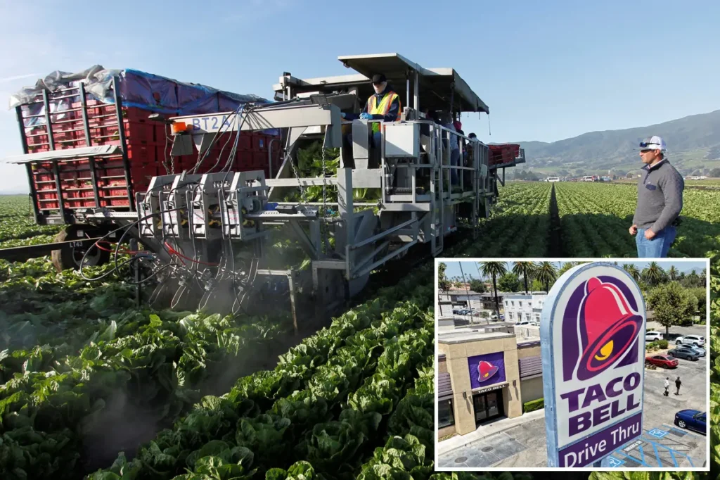 REPORT: Tainted Taco Bell ingredient ID’d as potential source of ‘explosive diarrhea’ parasite, cyclosporiasis
