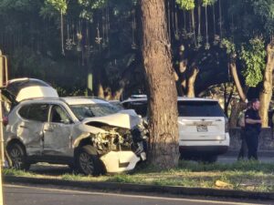 16-year-old girl hospitalized after car hits tree near Ala Moana