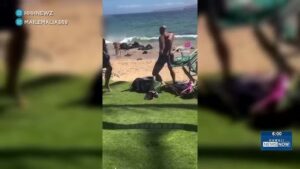 Democrat congressional candidate arrested after Maui beach altercation, bail set at $1 million