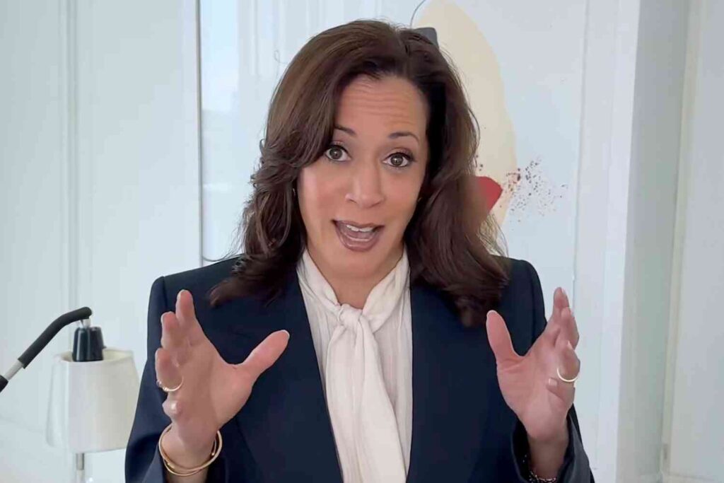 Dumb as a brick Kamala warns that SAVE Act would “require proof of who you are to vote”