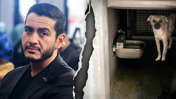 INVASION USA — SHOCKER: PETA Isn’t Going to Condemn Dog-Killer Michigan Democrat Abdul El-Sayed
