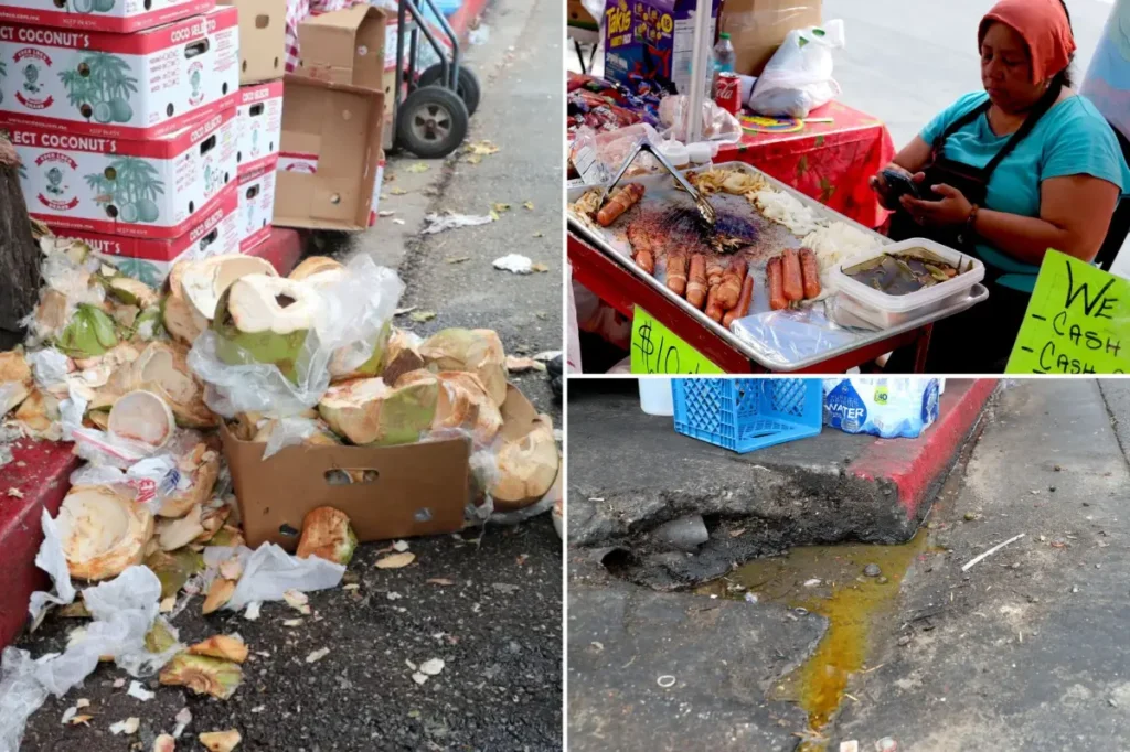 DEMOCRAT COUNTY — DOG-EATEN MEAT, RATS AND URINE: Stomach-churning details of 10K LA street food complaints revealed