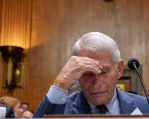 Fauci In Hiding As ABC Censorship Bombshell Explodes: Ex-ABC reporter exposes how Fauci killed a Wuhan lab leak story