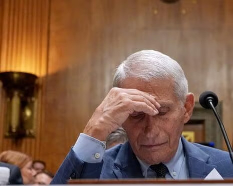 Fauci In Hiding As ABC Censorship Bombshell Explodes: Ex-ABC reporter exposes how Fauci killed a Wuhan lab leak story