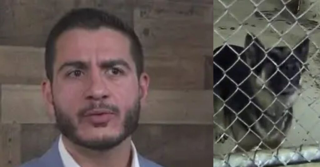 INVASION USA: Far-Left Michigan Democrat Candidate Abdul El-Sayed Oversaw ‘Slaughterhouse’ that Killed Thousands of Dogs and Cats Under His Watch