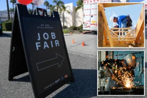 EXCLUSIVE DETAILS: Male Gen Zers are dropping out of the US job market in droves: ‘Susceptible to being displaced by AI’