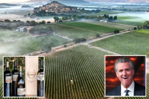 NEWSCUM ALERT — POUR ME: Vineyard bosses rage at Newsom as it’s revealed his winery got the only wildfire payout