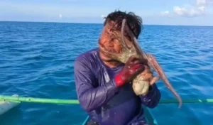 Terrifying moment octopus latches onto fisherman’s face forcing him to club creature in suffocating tug-of-war in the Philippines