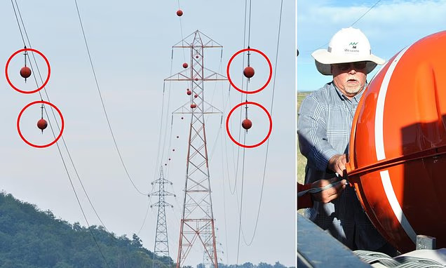 Reason for mysterious orange and white orbs seen floating on power lines across America revealed by expert